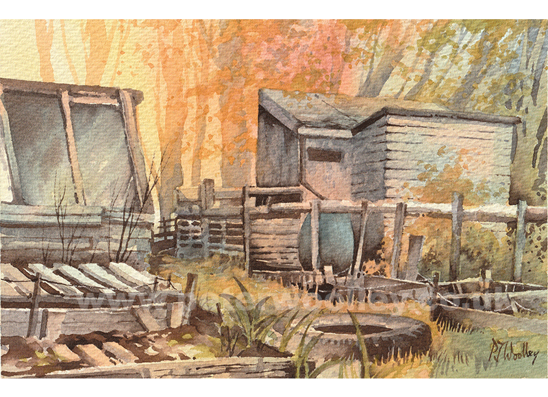 The Allotment, Richmond - watercolour painting by Peter Woolley