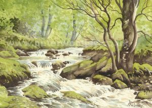 Sheepshaw Beck, Valley of Desolation (Art Card)