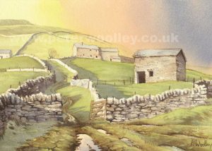 Barns on Kisdon Hill, Near Muker (Art Card)