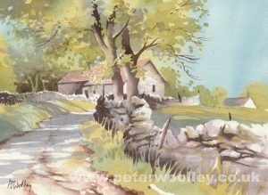 Brackenbottom, Horton-in-Ribblesdale (Original Watercolour)