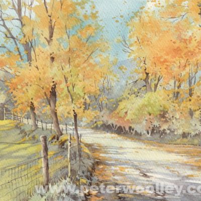 Autumn in the Barle Valley (Original Watercolour)
