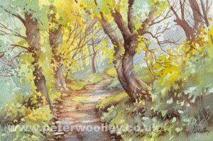 Kemyel Crease Nature Reserve, Cornwall (Original Watercolour)