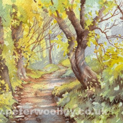 Kemyel Crease Nature Reserve, Cornwall (Original Watercolour)