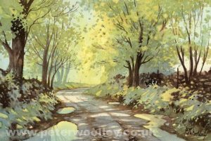 Summer in Austwick (Limited Edition Print)